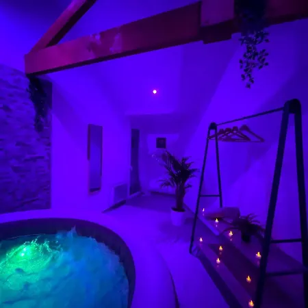 Apartamento Un Cocon Pour 2 Ou 4 - -jacuzzi - Netflix - Tram A